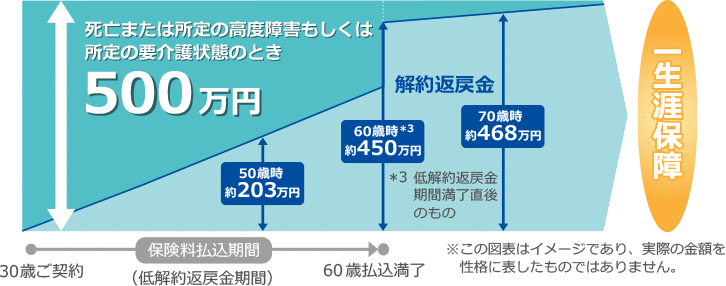 健康祝金のないタイプ・特定疾病保険料払込免除特則 付加の場合のイメージ